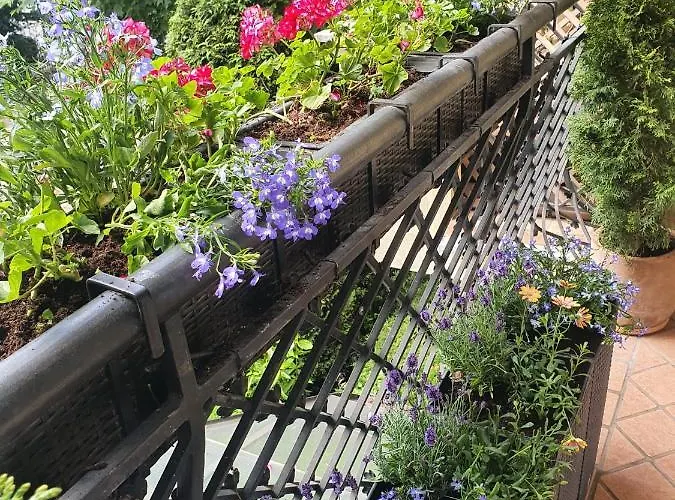 Patio Mare Amber Daire Sopot